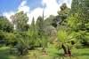 Orto Botanico - 2