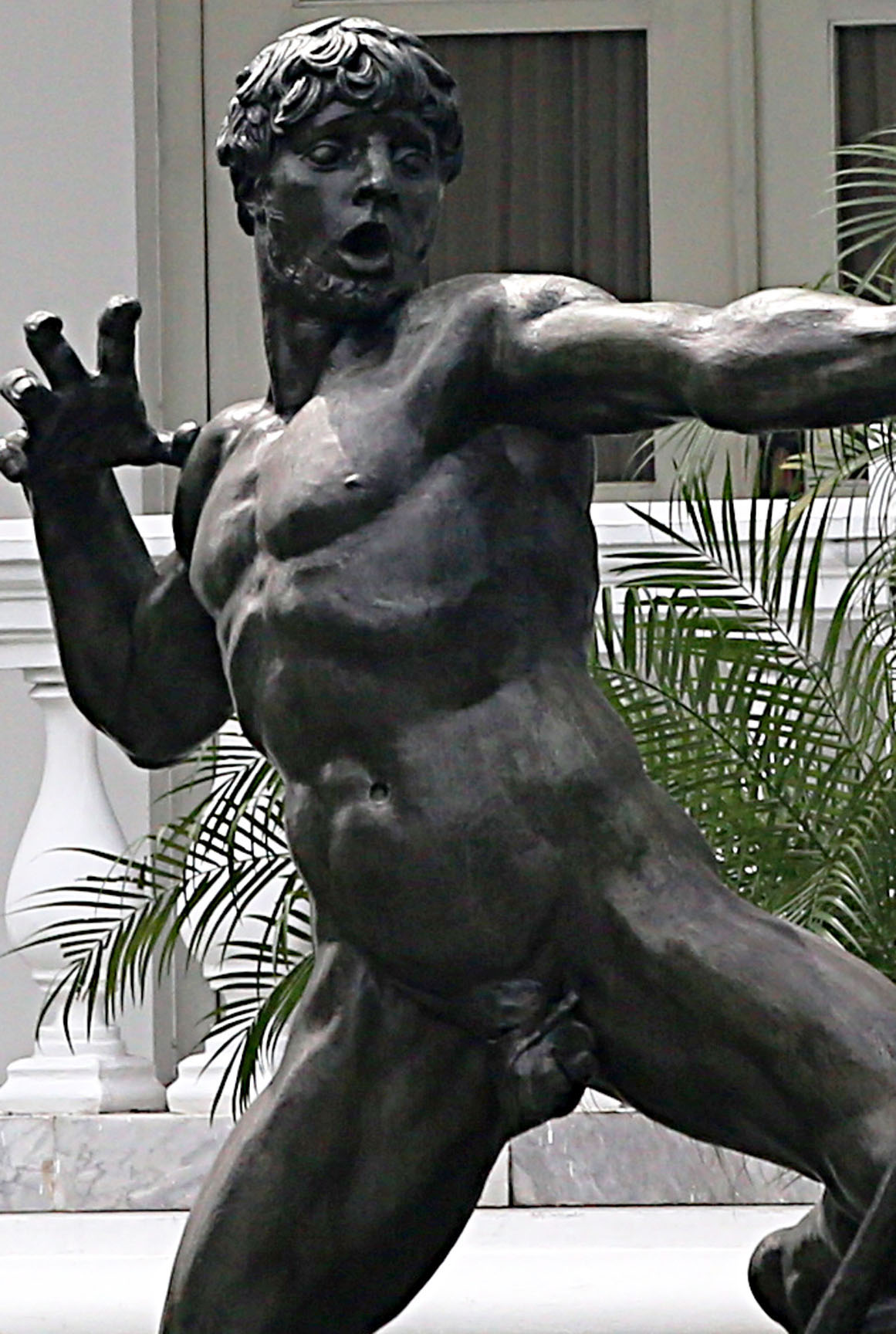 Jakarta - Places - 3b CockIMG_8510 Jakarta - Places - 3b CockIMG_8510