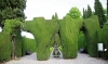Alhambra: The Gardens - 3 20170510_6991