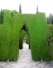 Alhambra: The Gardens - 5 20170510_6995