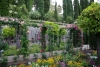 Alhambra: The Gardens - 7 IMG_7404