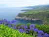 Sao Miguel - 16