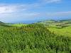 Sao Miguel - 3  View of Furnas Highlands: Conifers, Tree Ferns, Cows, and the Sea
