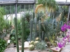Berlin Botanische Garten
