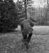 Cornell - 18