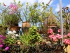 Dar Balmira Botanical Garden - General View- 3 RoofdeckFlowers140420