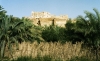 Ancient Egypt : Siwa Oasis - 1