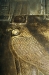 Ancient Egypt : Ptolemy 3