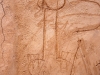 Cock Grafitti - Morocco - 1