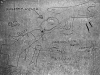 Cock Graffiti - Italia - 4