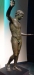 National  Archeological Museum Athens - 1a     1_20190511_1368