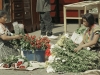 Guatemalans - 8