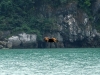 Halong Bay - 4a     20190113_0034