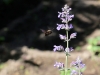 20170507_7408