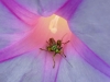 20190527_1427