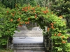 Kuala Lumpur Perdana Botanical Garden - 1a  20181211_0789