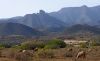 Moroccan Landscapes - 1 Kebdane Mountains