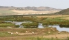 Moroccan Landscapes - 1 Sebou River 1
