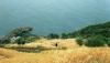 Coastal Views - 1