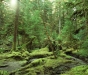 Nature in Canadian Places - Haida Gawai