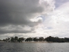 Nature in Brazil - The Amazon - 3