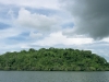 Nature in Brazil - The Amazon -1