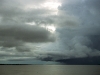 Nature in Brazil - The Amazon - 6