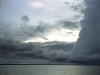 Nature in Brazil - The Amazon - 5