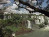 Nature in Brazil RealaIguazu9