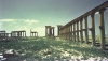 Palmyra - 4