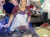 IMG_4667