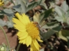 20190816_Moulay-Bousselham_1840