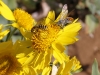 20190816_Moulay-Bousselham_1844