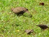 DSC00026