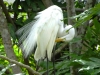 DSC00034