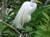 DSC00037