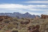Tenerife Lava Fields - 1