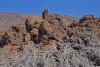 Tenerife Lava Fields - 4