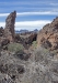 Tenerife Lava Fields - 3