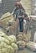 Aleppo - 5