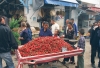 Tunis - 8