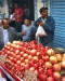 Tunis - 4